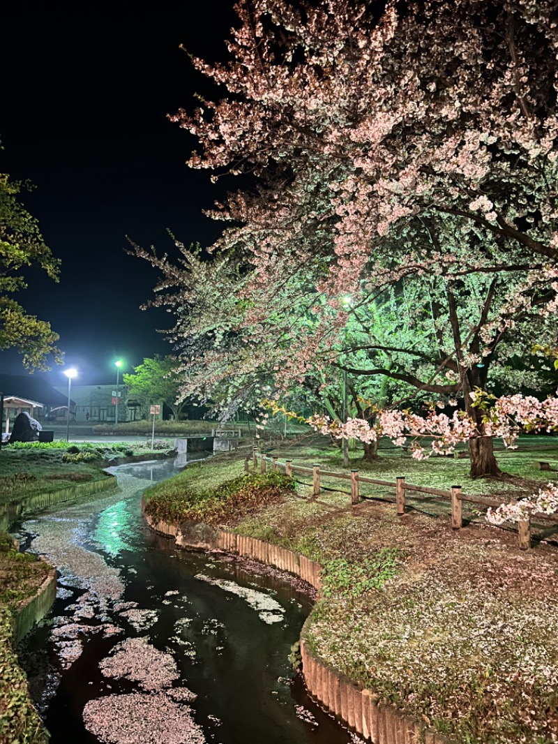 かつぬしさんの板柳町ふるさとセンター 青柳館 ふるさと温泉のサ活写真