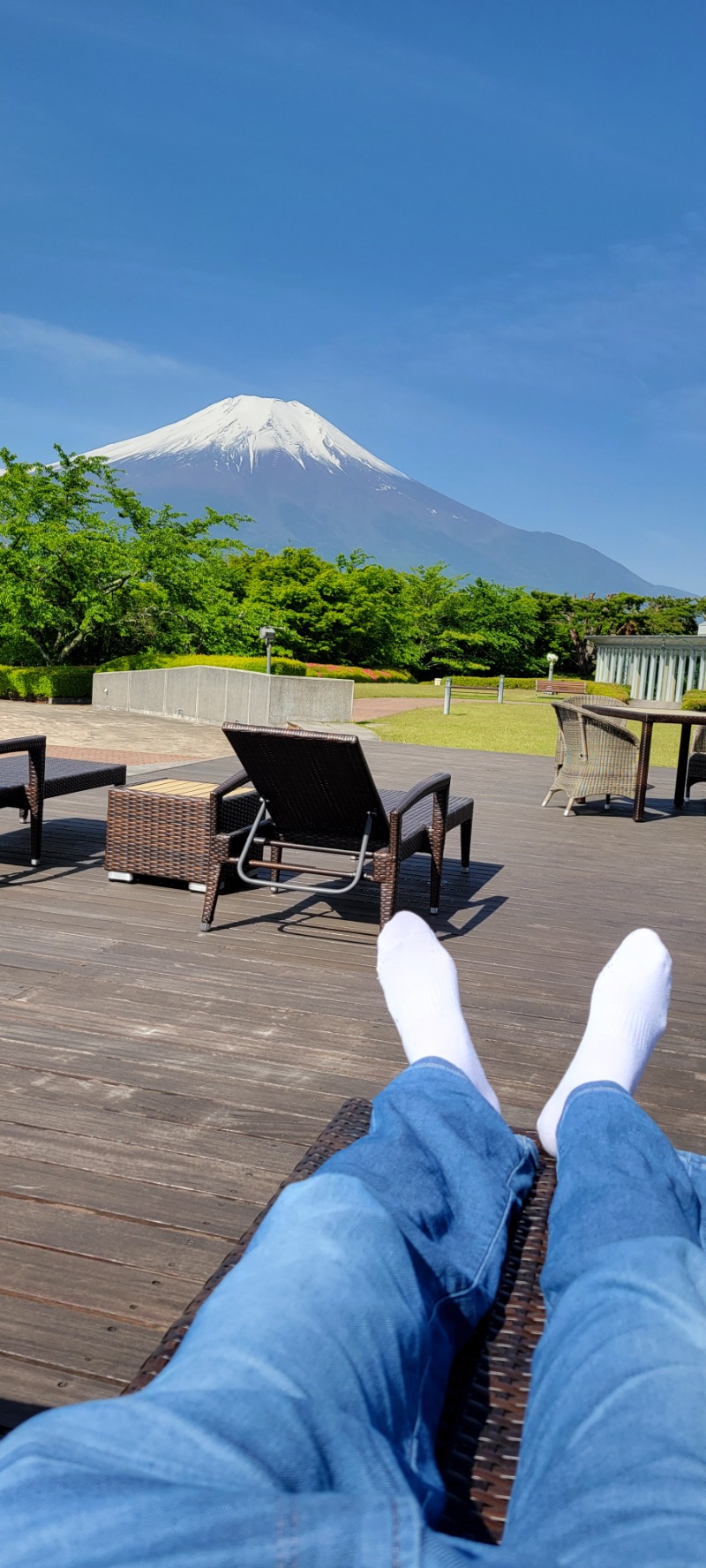 やなくさんのホテルマウント富士のサ活写真