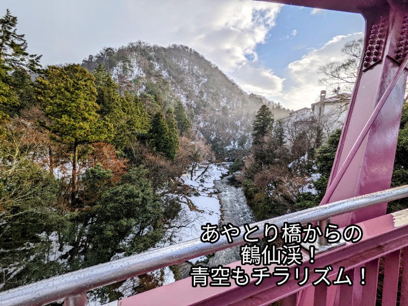 粗塩さんの湯快リゾート 山中温泉 花・彩朝楽のサ活写真
