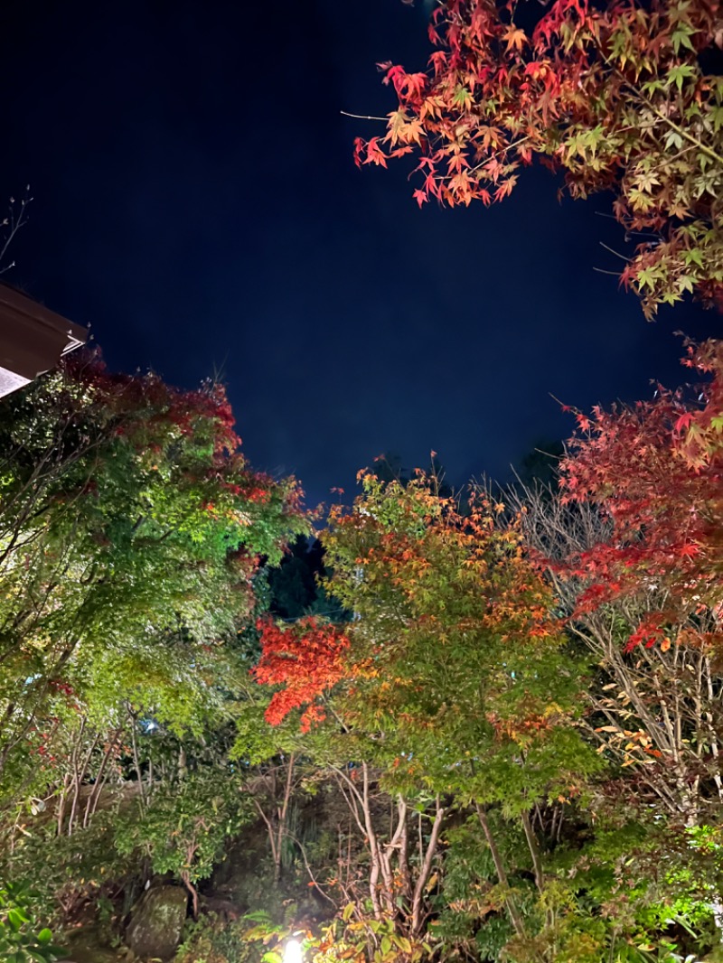 キャンさんの箱根湯寮のサ活写真