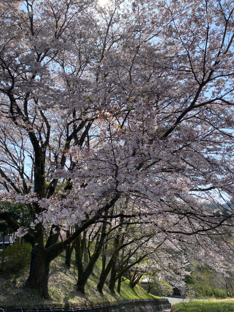 keiさんの藤野やまなみ温泉のサ活写真