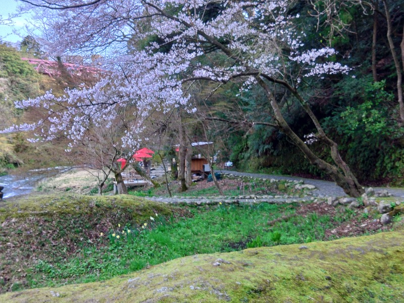 こーじさんの湯快リゾートプレミアム 山中温泉 よしのや依緑園のサ活写真