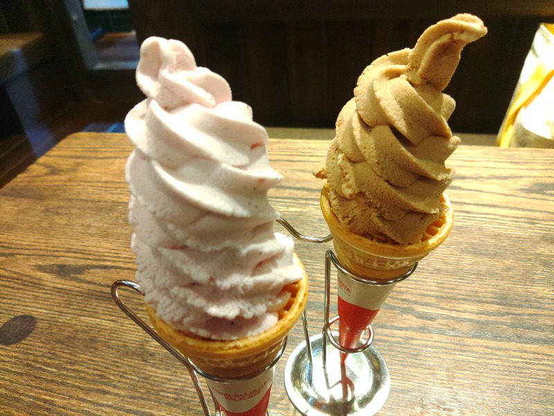 こーじさんの天然湧湯 吟湯 湯治聚落のサ活写真