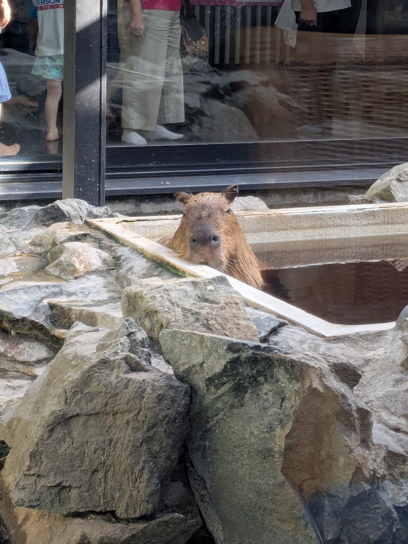 斉藤パンタレイさんの石狩天然温泉 番屋の湯のサ活写真