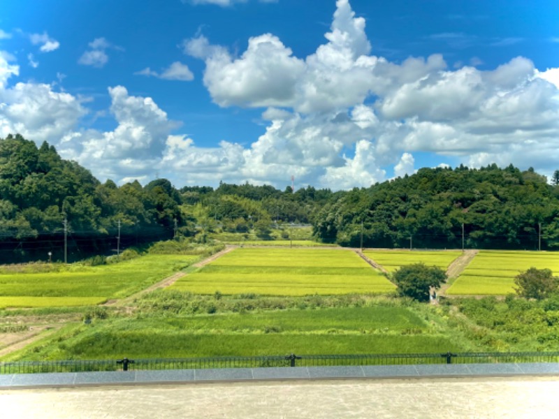 jun jun 🌸さんの酒々井温泉 湯楽の里のサ活写真