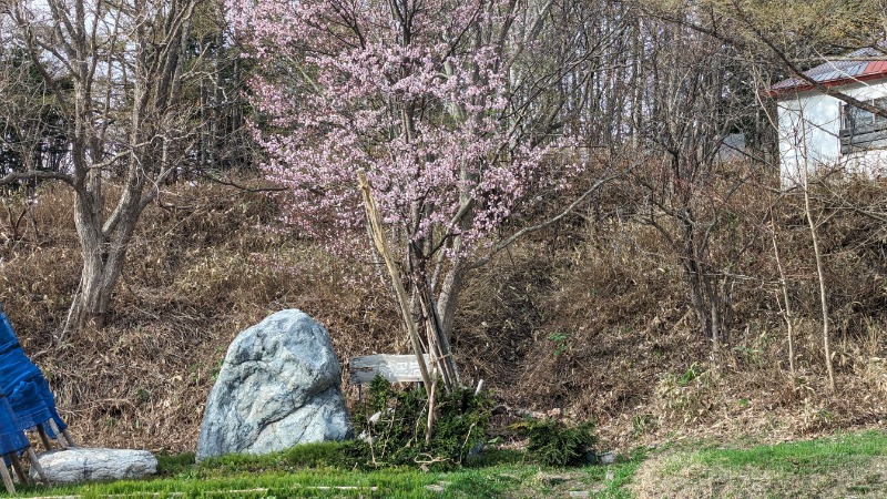 あっきーさんのホテル神居岩のサ活写真