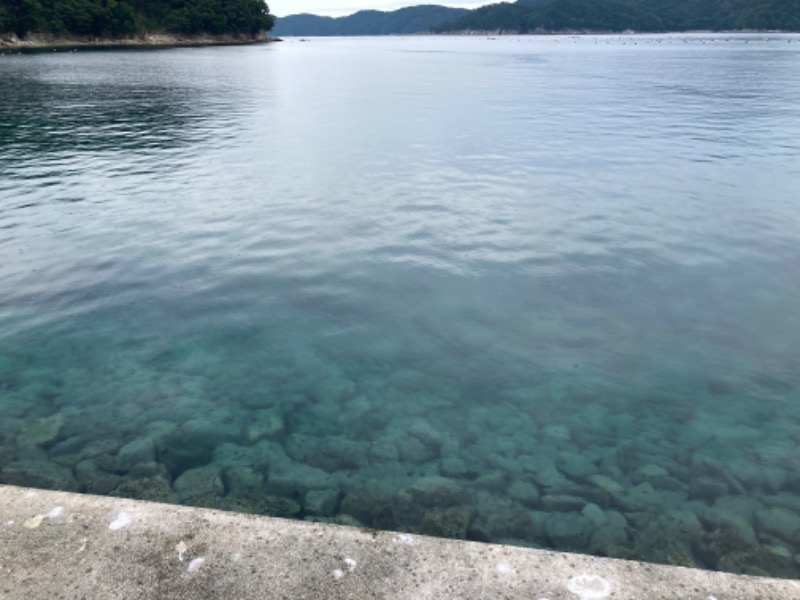 電柱さんの三陸四季湯彩ますと乃湯のサ活写真