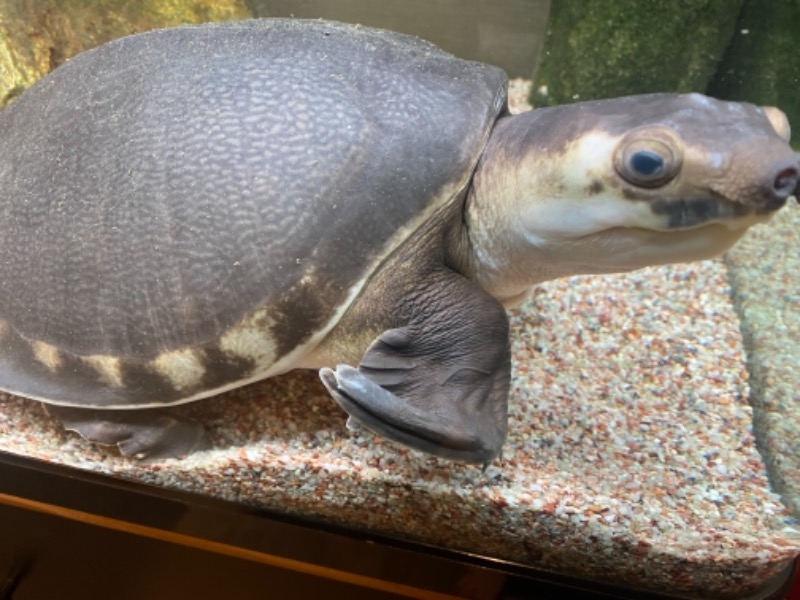 あまみちゃんさんの松本湯のサ活写真