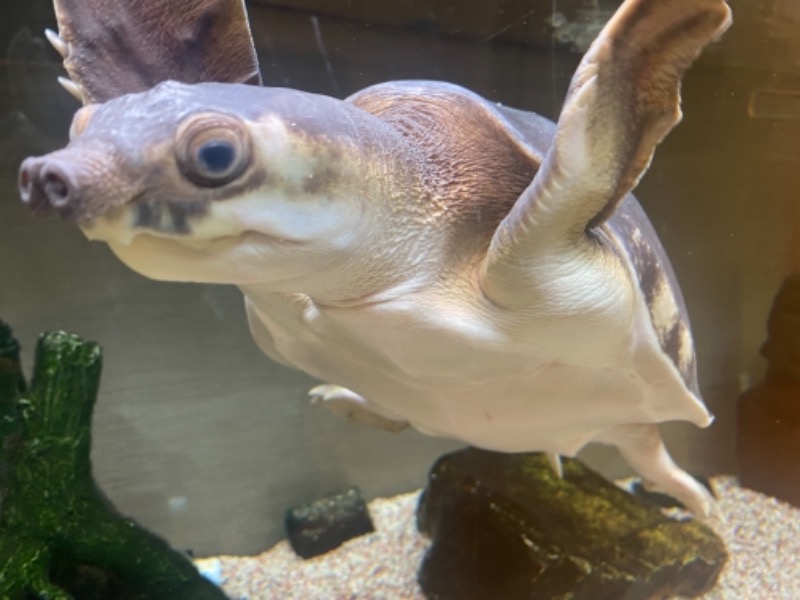 あまみちゃんさんの松本湯のサ活写真