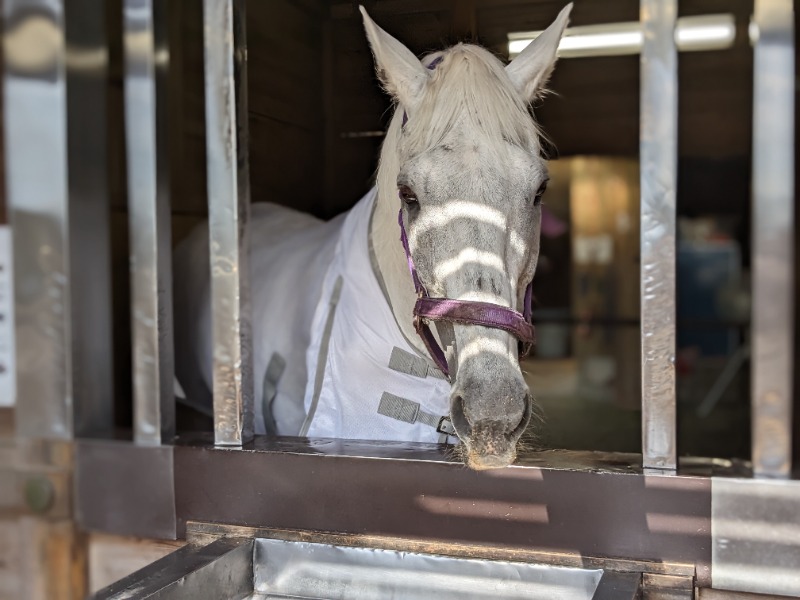 あおきさんの神馬の湯のサ活写真