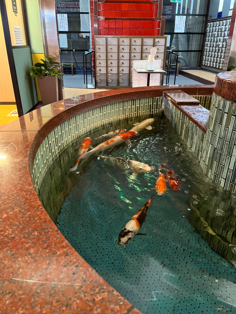 ヒロヒロさんの夢の公衆浴場 五色のサ活写真