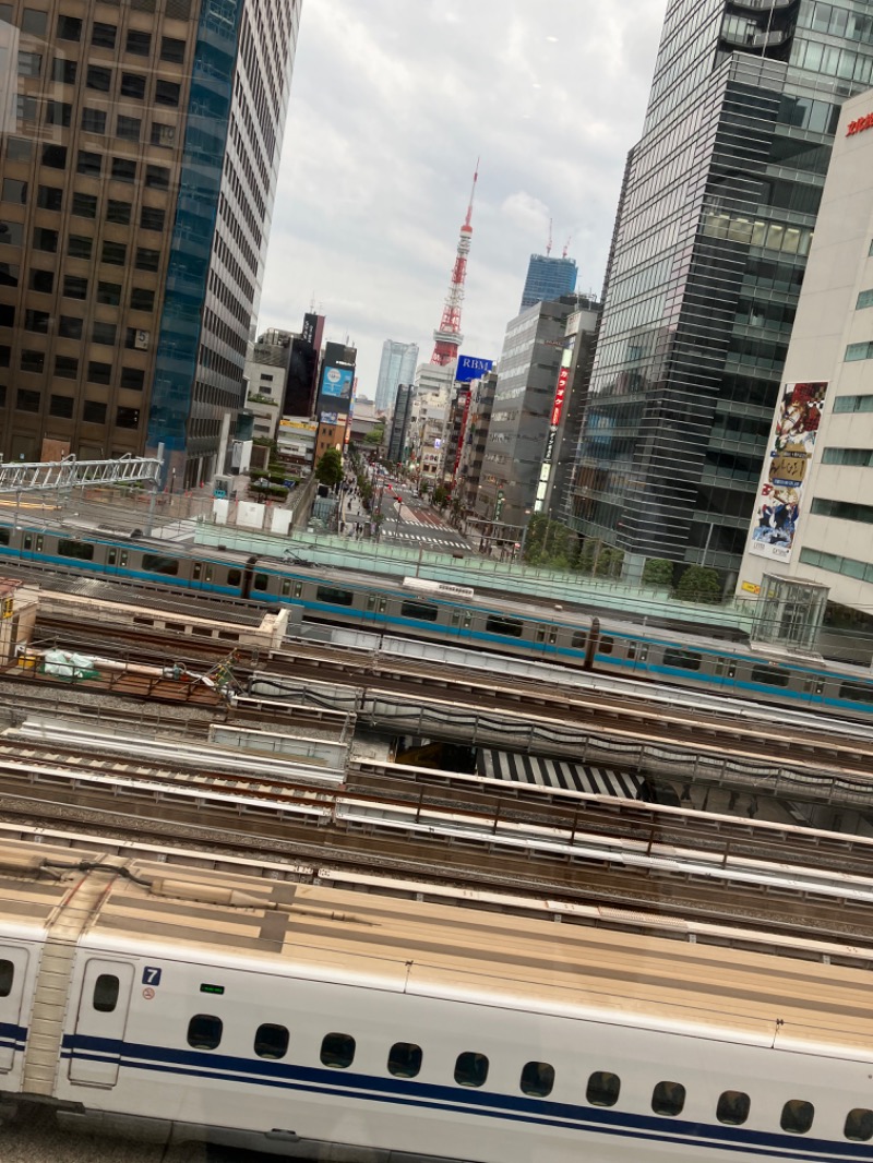 てつさんのアジュール竹芝 天空の湯のサ活写真