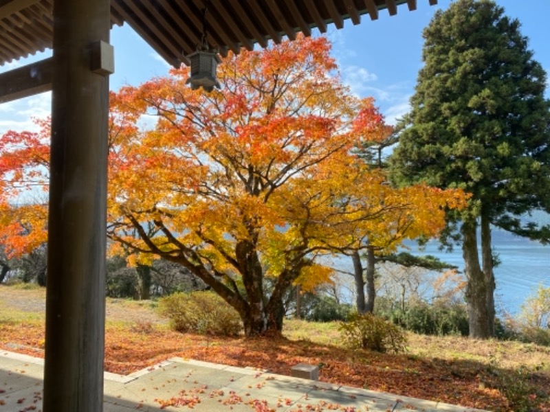 熱波不足さんの箱根 絶景日帰り温泉 龍宮殿本館のサ活写真