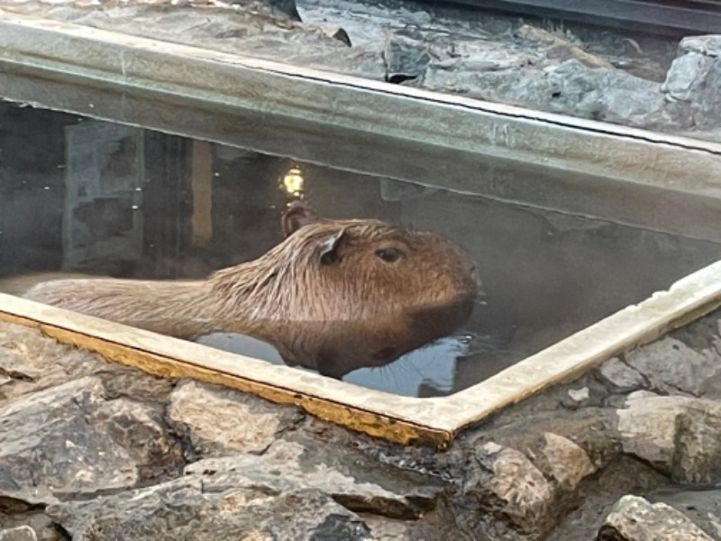 みつさんの石狩天然温泉 番屋の湯のサ活写真