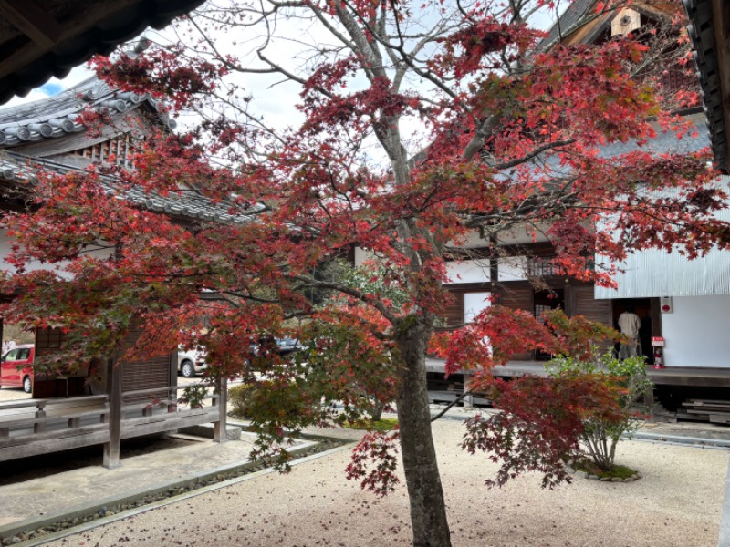 縞りんごさんの光信寺の湯 ゆっくらのサ活写真