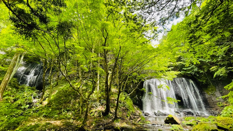 みやぜっとさんの磐梯名湯リゾート ボナリの森のサ活写真