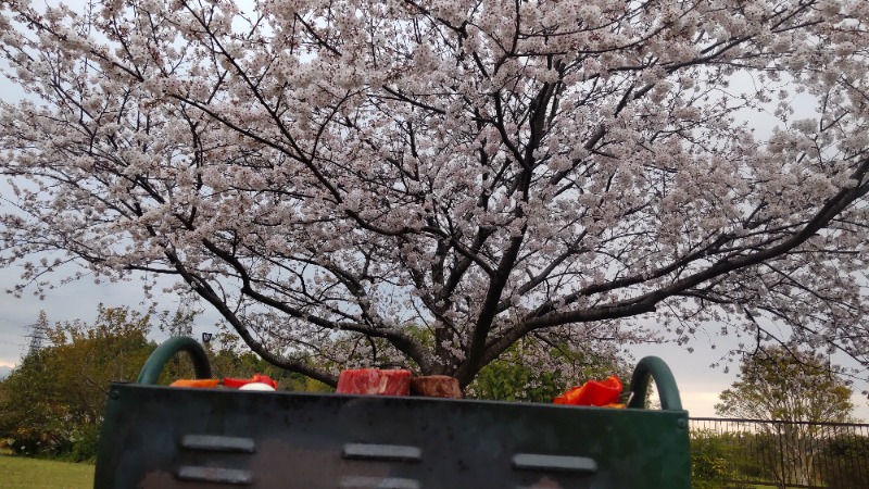 ユエさんの四日市温泉 おふろcafé 湯守座のサ活写真