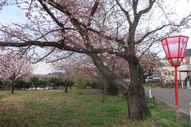 Mazo Itohさんの板柳町ふるさとセンター 青柳館 ふるさと温泉のサ活写真