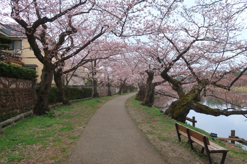 Mazo Itohさんの板柳町ふるさとセンター 青柳館 ふるさと温泉のサ活写真