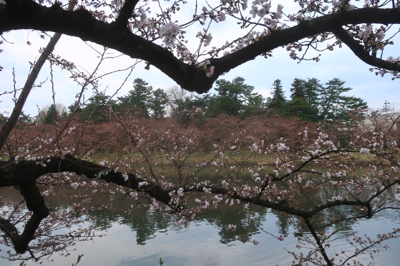 Mazo Itohさんの板柳町ふるさとセンター 青柳館 ふるさと温泉のサ活写真