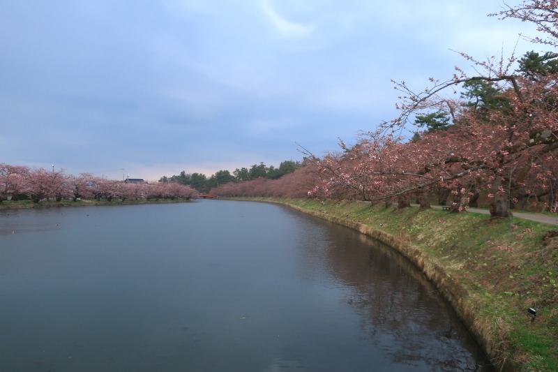 Mazo Itohさんの板柳町ふるさとセンター 青柳館 ふるさと温泉のサ活写真