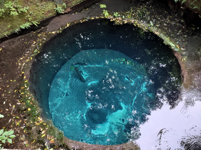 Ж'iliahi kuniЖさんの天然温泉ざぶ～んのサ活写真