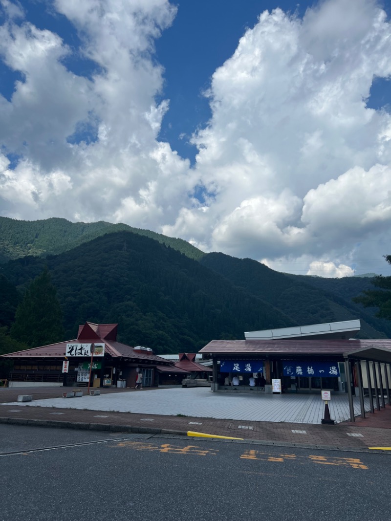 Haruさんのいび川温泉 藤橋の湯のサ活写真