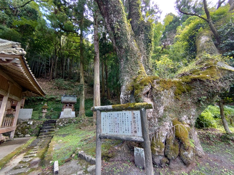 博多の蒸しまろ🈂️♨️さんの畑冷泉館のサ活写真