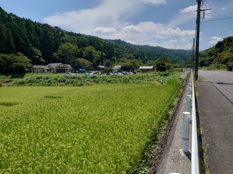 博多の蒸しまろ🈂️♨️さんの畑冷泉館のサ活写真