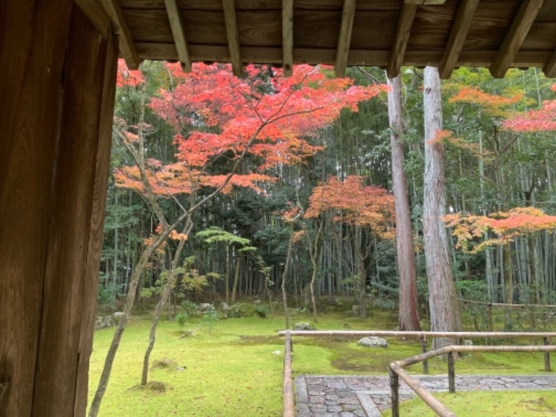 らぶりさんの大徳寺温泉のサ活写真