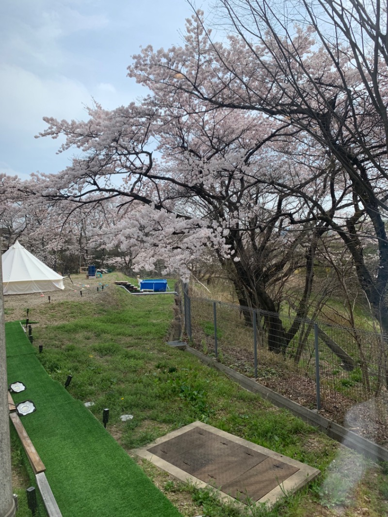 TKDさんのやまびこの湯 ベガロポリス仙台南のサ活写真