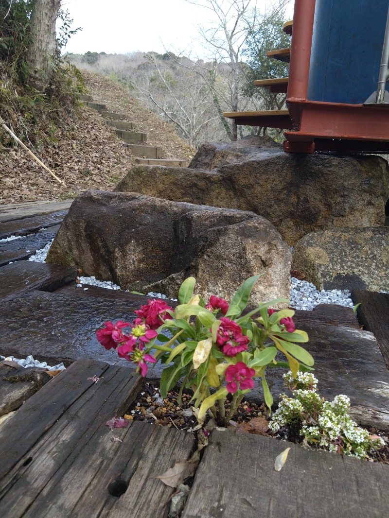 カッパのまこちゃんさんの宇部サウナセンターのサ活写真