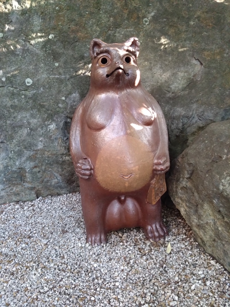 カッパのまこちゃんさんの天然温泉おとぎの杜のサ活写真