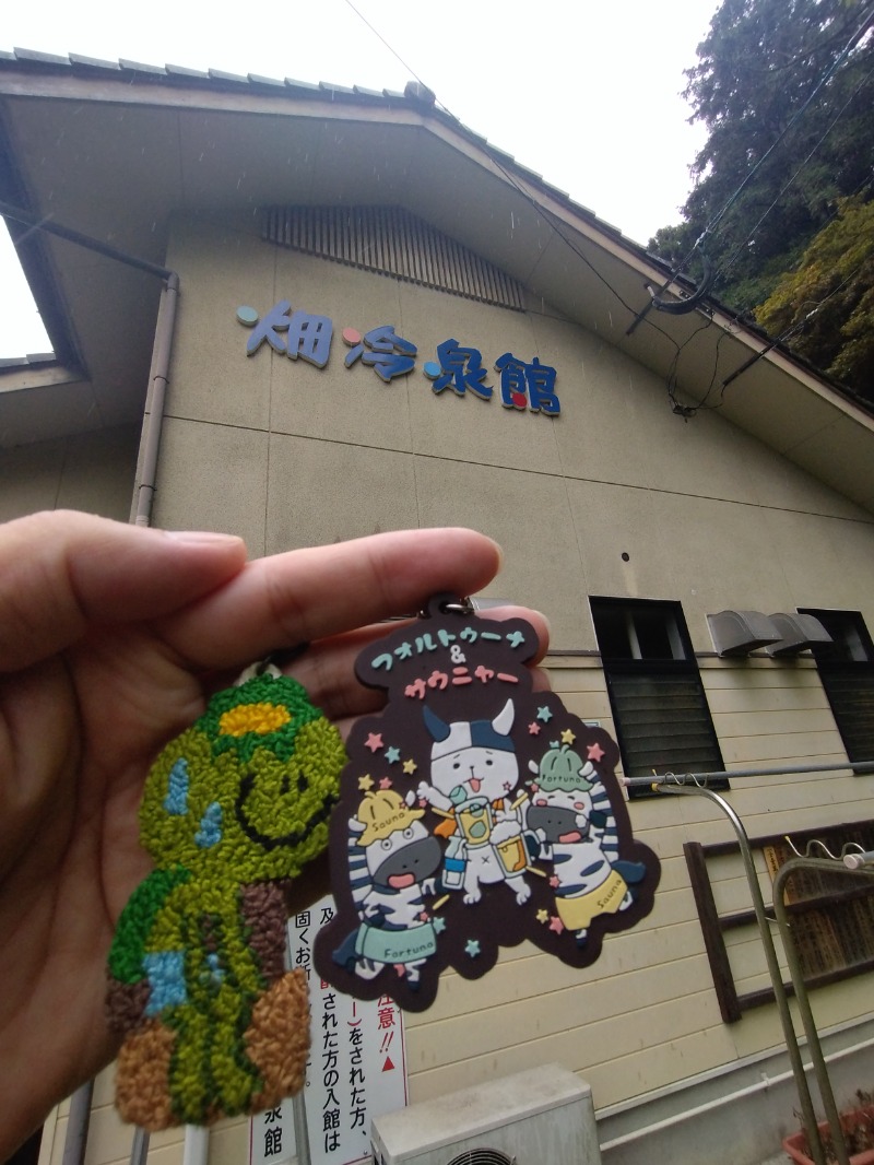 カッパのまこちゃんさんの畑冷泉館のサ活写真