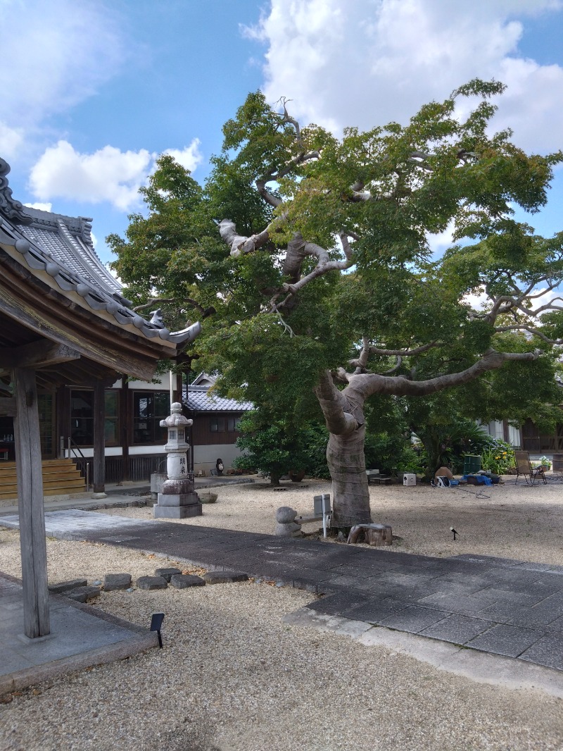 カッパのまこちゃんさんの安正寺のサ活写真