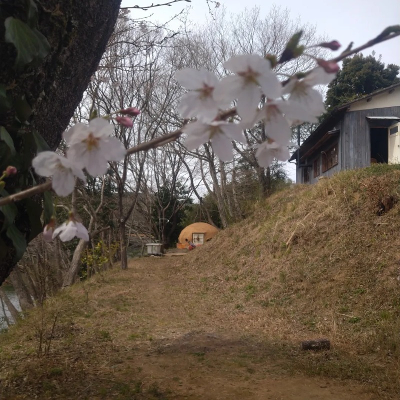 カッパのまこちゃんさんの宇部サウナセンターのサ活写真