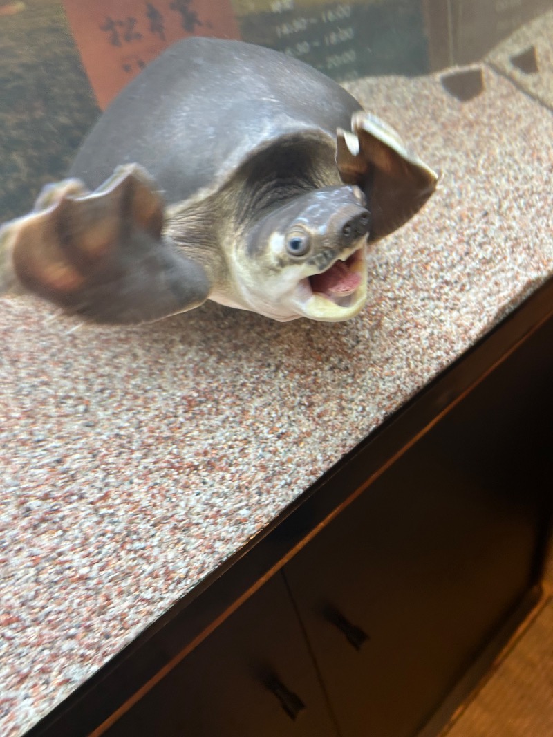 mooookoさんの松本湯のサ活写真