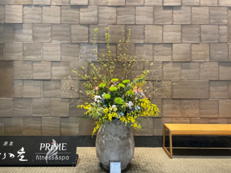 ericthekingさんの綱島源泉 湯けむりの庄のサ活写真