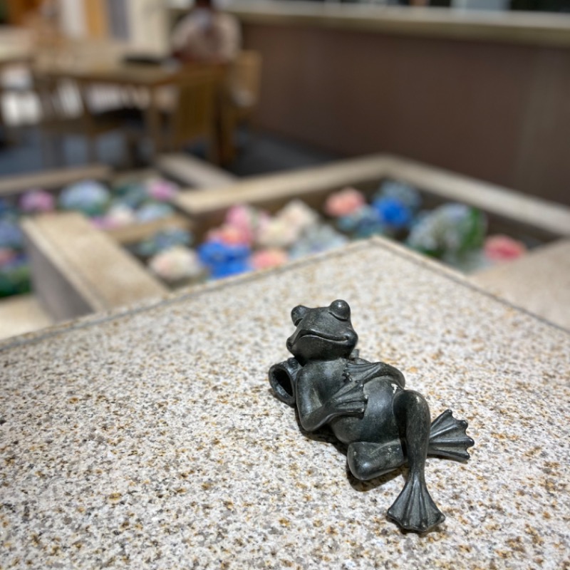 ericthekingさんの綱島源泉 湯けむりの庄のサ活写真