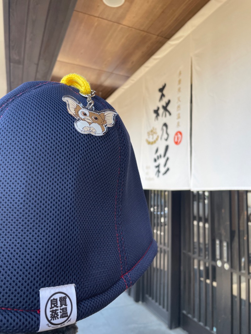 お湯〜ろさんの多摩境天然温泉 森乃彩のサ活写真