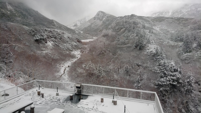 子守唄さんの十勝岳温泉 凌雲閣のサ活写真