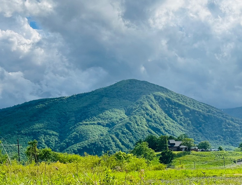 ASAunaさんの網張温泉 ありね山荘のサ活写真