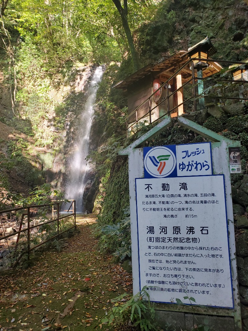 まーさんさんのいずみの湯 (ニューウェルシティ湯河原)のサ活写真