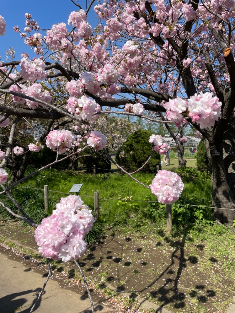 さうなっ子さんの小山思川温泉のサ活写真