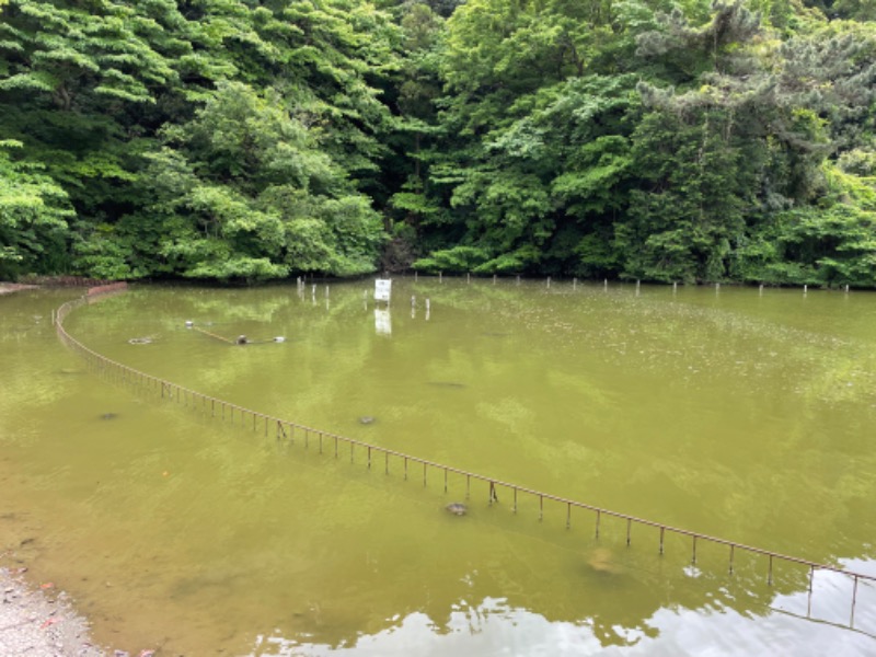 さうなっ子さんの亀遊舘のサ活写真