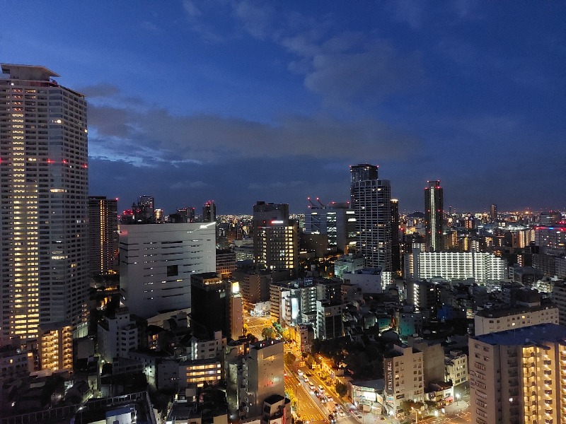 ももさんのホテル阪神大阪 テフのサ活写真