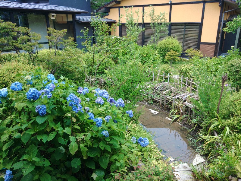 響さんの杉戸天然温泉 雅楽の湯のサ活写真