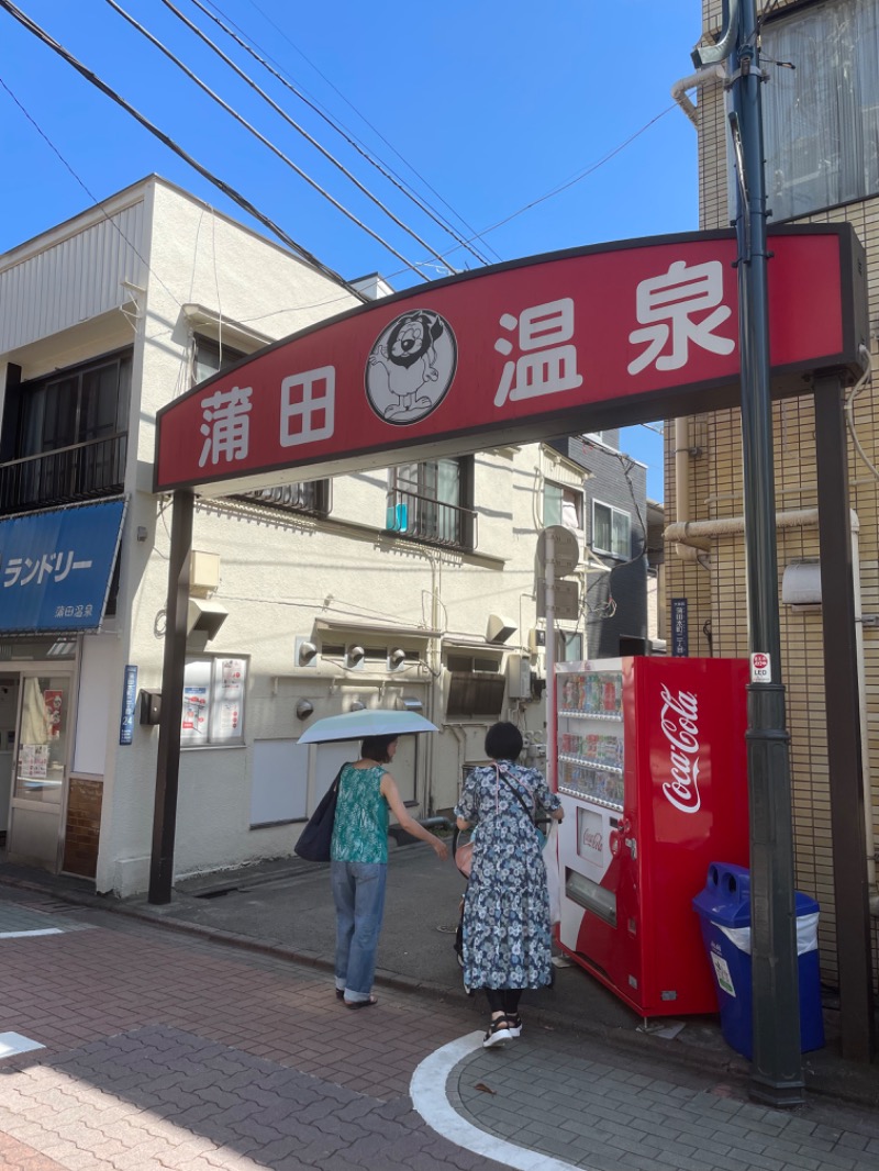 イワグスクさんの蒲田温泉のサ活写真