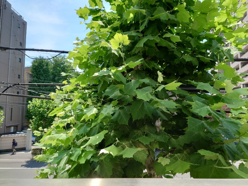 慶長小判さんのサウナセンター稲荷町(旧サウナホテルニュー大泉 稲荷町店)のサ活写真