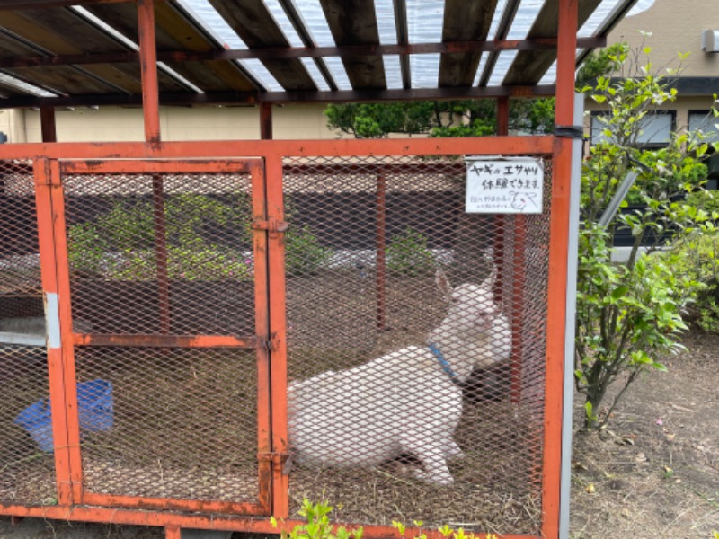 ドラゴンさんの熊ノ沢温泉のサ活写真